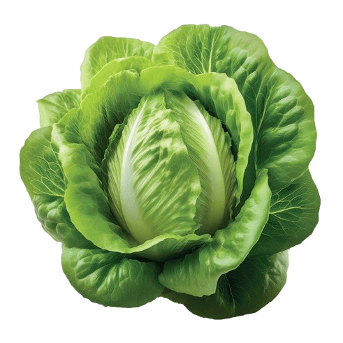Alfonso